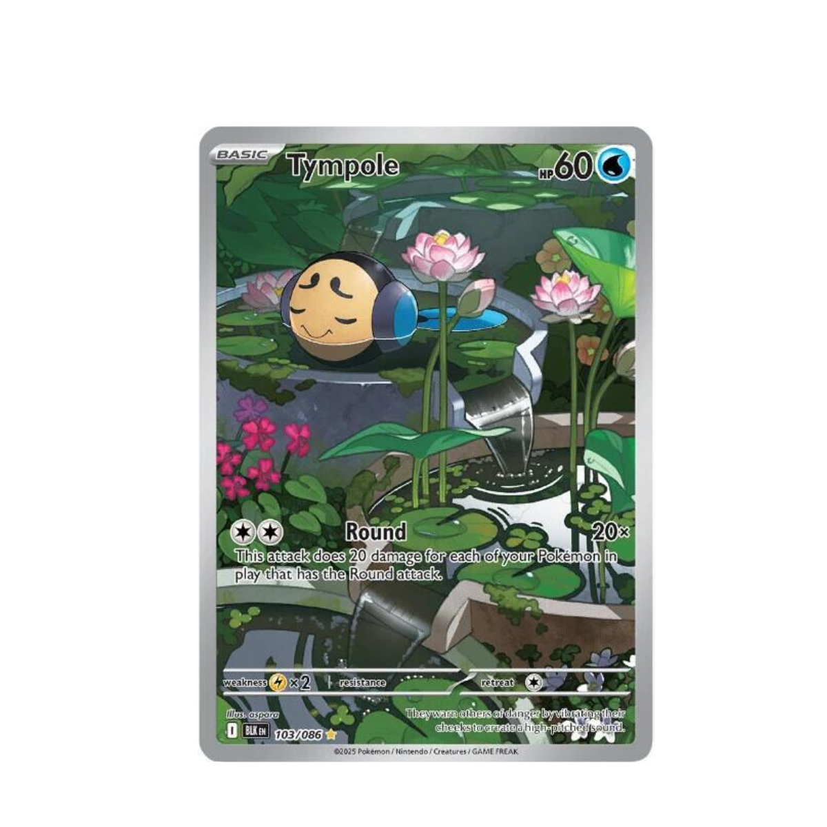 Tympole - 103/086 - SV: Black Bolt